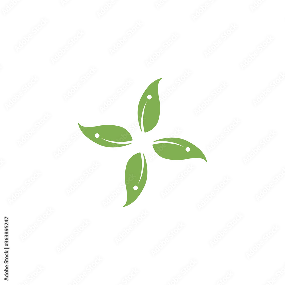 Eucalyptus leaves logo vector template Eucalyptus leaves logo vector template