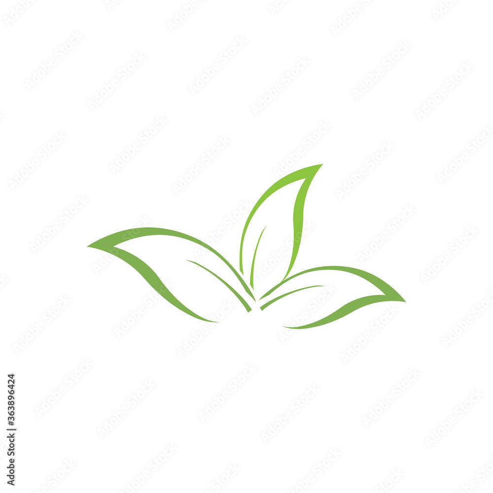 Eucalyptus leaves logo vector template Eucalyptus leaves logo vector template