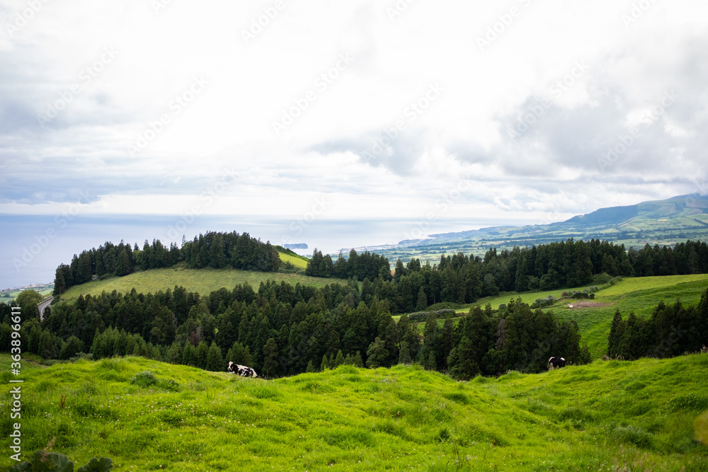 Landscape view of the green fields and the Atlantic ocean as background on a cloudy day in the island of São Miguel in Azores