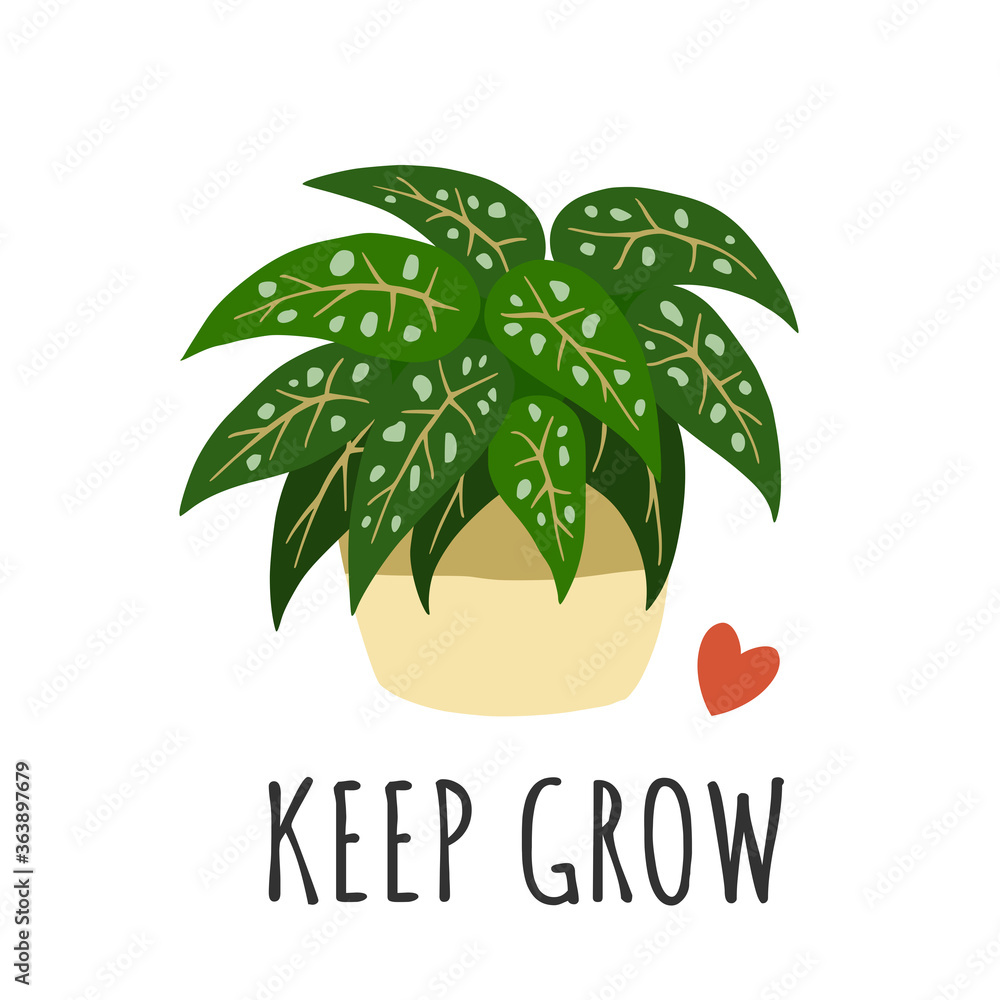 Keep grow. Print with exotic houseplant. Vector illustration. Keep grow. Print with exotic houseplant. Vector illustration.