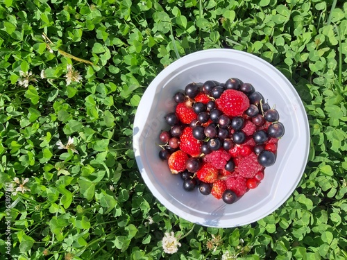 berries in a bowl