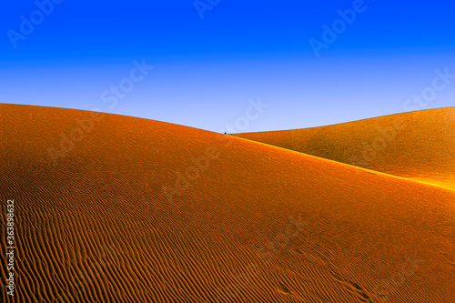 An Point in Hill of Desert