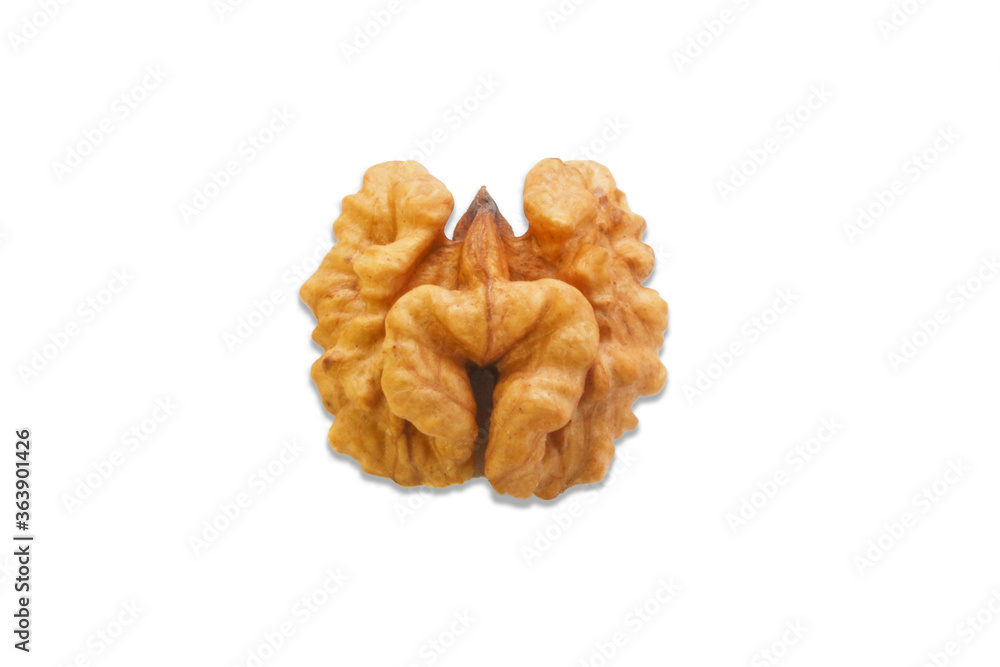 Walnut seed isolated on white background. Brain shaped half of walnut core Walnut seed isolated on white background. Brain shaped half of walnut core