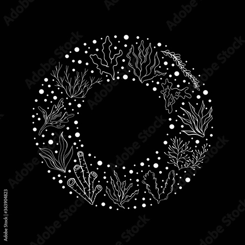 Seaweed. Vector isolated illustration with a set of algae.  Summer theme for printing on clothing, fabrics, postcards, wallpaper.Isolated elements. Marine underwater plants. Plants in the ocean. 