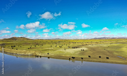 The first bend of the Yellow River 9 in Zoig   County autumn of Northwest China