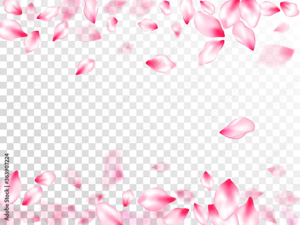 Obraz Japanese cherry blossom pink flying petals