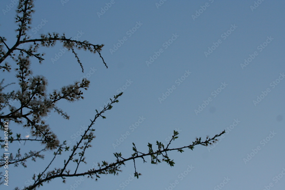 Obraz premium beautiful sky 