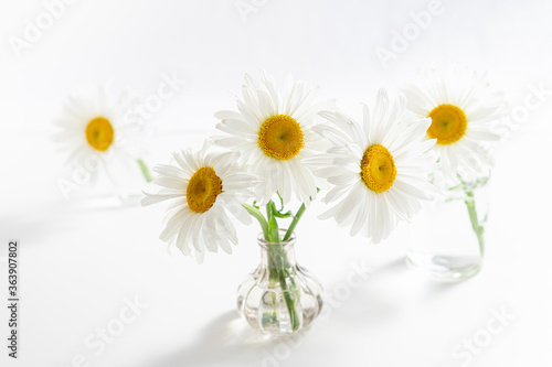 Wallpaper Mural Beautiful chamomiles flowers in glass vases on white background. Floral composition in home interior. Spring and summer festive card with daisy flowers Torontodigital.ca