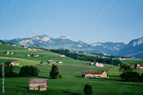 Beautiful summer landscape with houses on green field  Swiss Alps Mountains.
