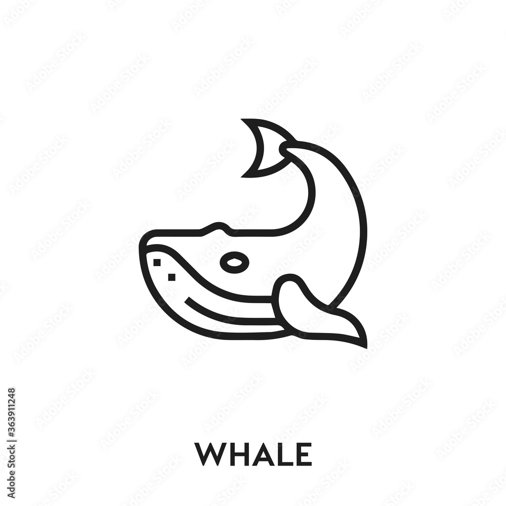 Obraz premium whale vector icon. whale sign symbol. Modern simple icon element for your design