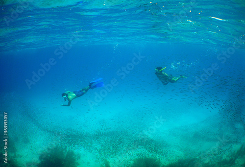 underwater snrokel water blue caribbean sea Venezuela