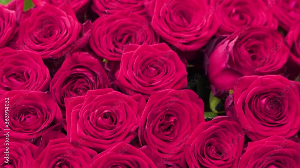 Lots of beautiful red roses, close-up bouquet with camera movement. Lots of beautiful red roses, close-up bouquet with camera movement.