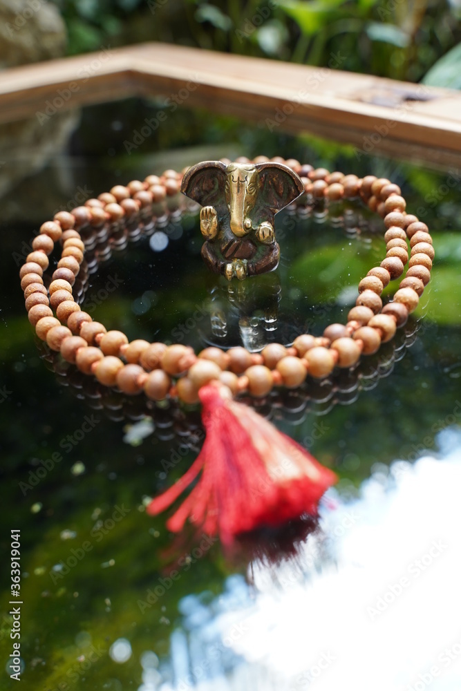 Naklejka premium Ganesha sitting on glas with a Male around him.