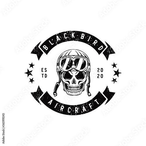 vintage aircraf logo design 