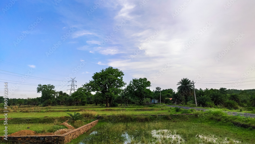 landscape view of village road along with blue sky landscape view of village road along with blue sky