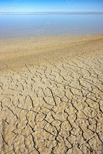 Dry, cracked earth in a dried up salt pan - Etosha National Park in Namibia, Africa.