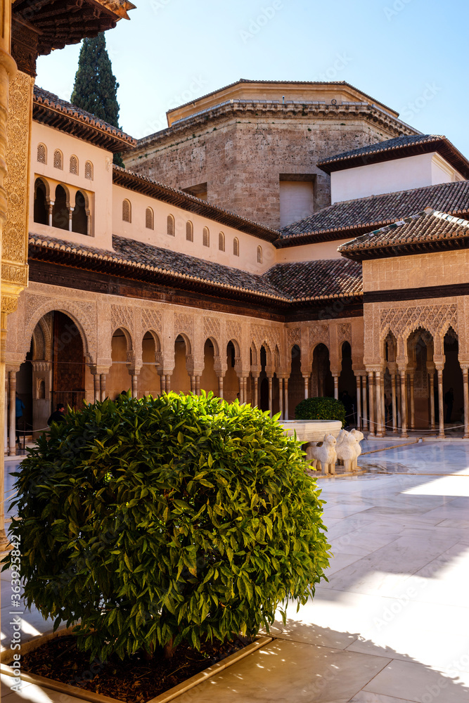 Obraz premium La Cour des Lions de l’Alhambra