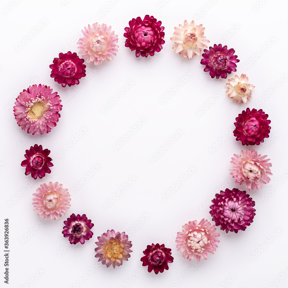 Flower composition. Frame made of dry flowers on white background. Flat lay. Top view. Copy space. Square
