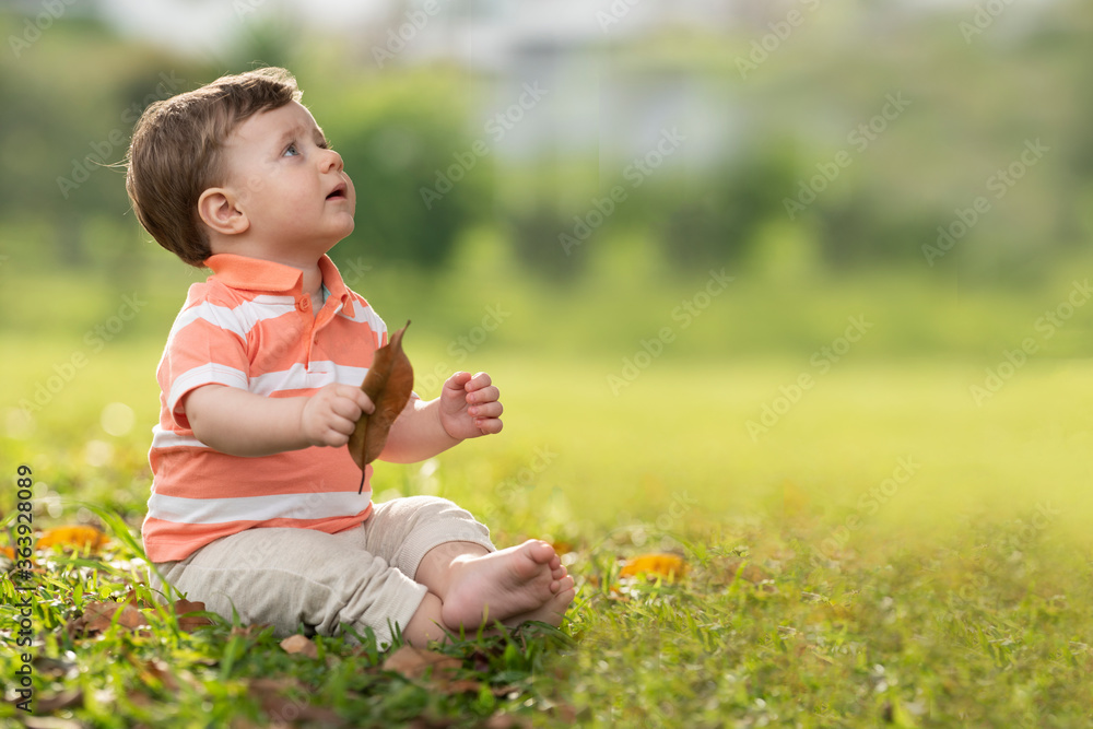 1 year old caucasian boy sitting on green lawn 1 year old caucasian boy sitting on green lawn
