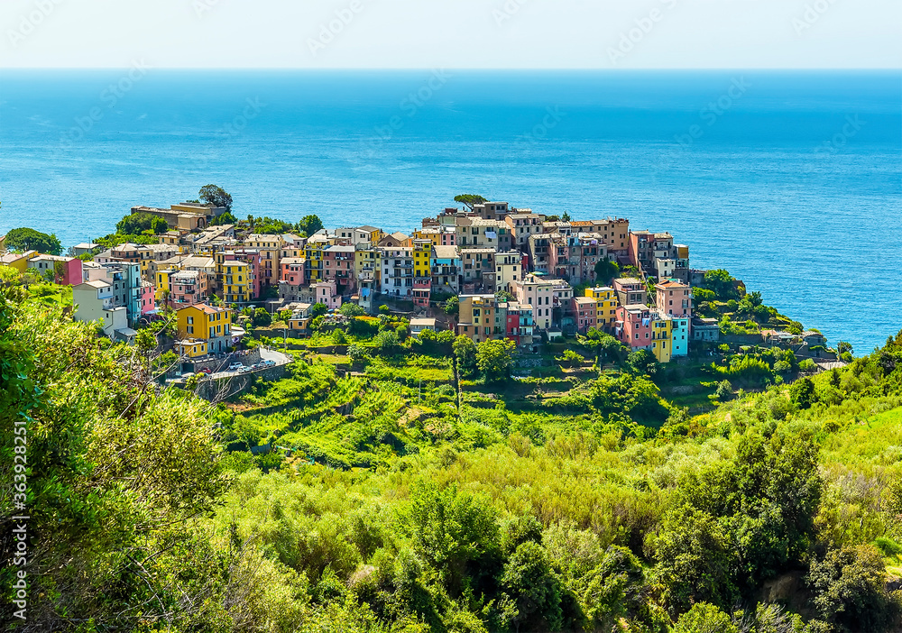 A close-up view looking down onto the village of Corniglia, Italy in the summertime