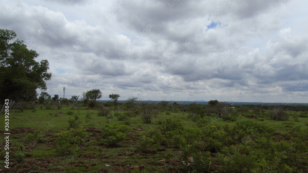 storm clouds over the forest