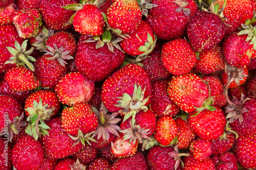 Close up of ripe strawberries as background. Top view
