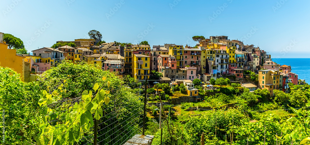A panorama view across the Cinque Terre village of Corniglia, Italy in the summertime