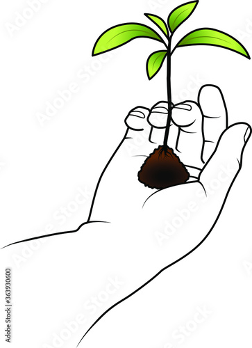 Hand (from viewer's point of view) holding a seedling.