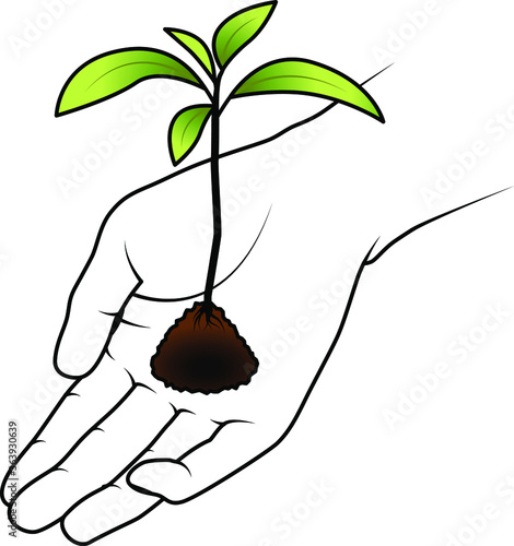 Hand holding a seedling.