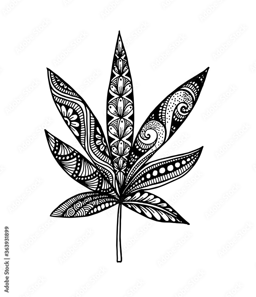 Vector illustration leaves and in doodle style. Floral, ornate, decorative, tribal vector design elements. Black and white background. Zentangle hand drawn coloring book page Vector illustration leaves and in doodle style. Floral, ornate, decorative, tribal vector design elements. Black and white background. Zentangle hand drawn coloring book page