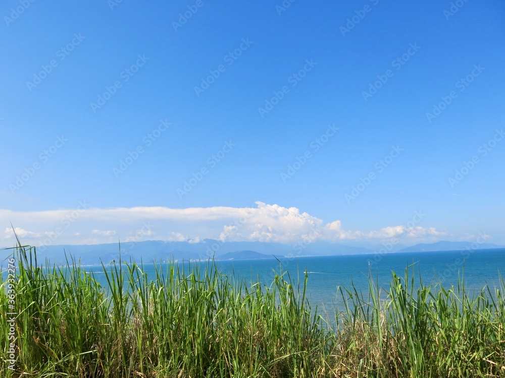 grass sea and sky