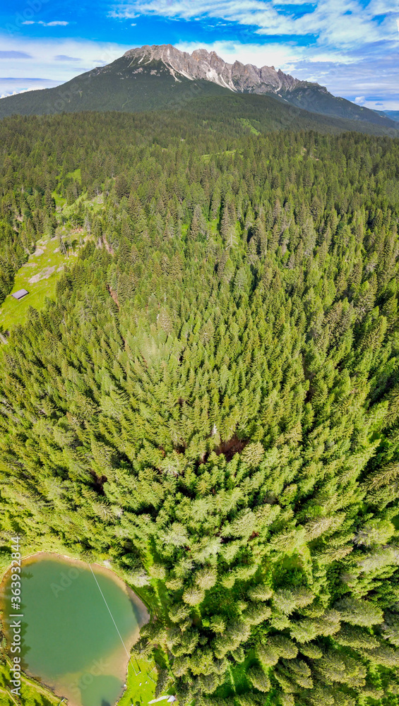 Fototapeta premium Alpin lake in summer time surrounded by beautiful forest, overhead downward aerial view