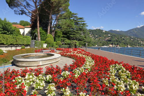 giardino urbano con fiori a como italia photo