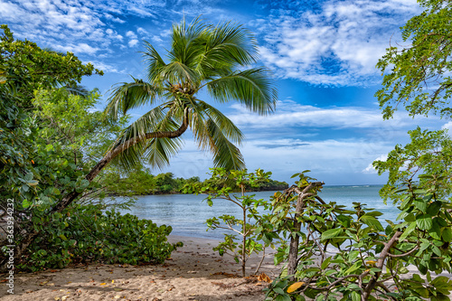 Grande anse des Salines en Martinique, Un coin de plage tropicale