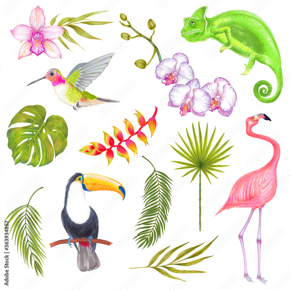 Naklejka premium Watercolor marker tropical set of bird, chameleon, flowers and leaves. Toucan flamingo colibri birds, orchid flowers, banana flowers, philodendron, areca palm, fern frond, bamboo leaves.