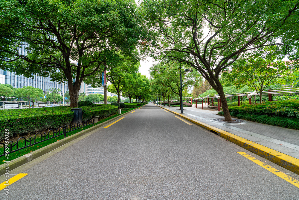 The city's tree-lined asphalt roads.