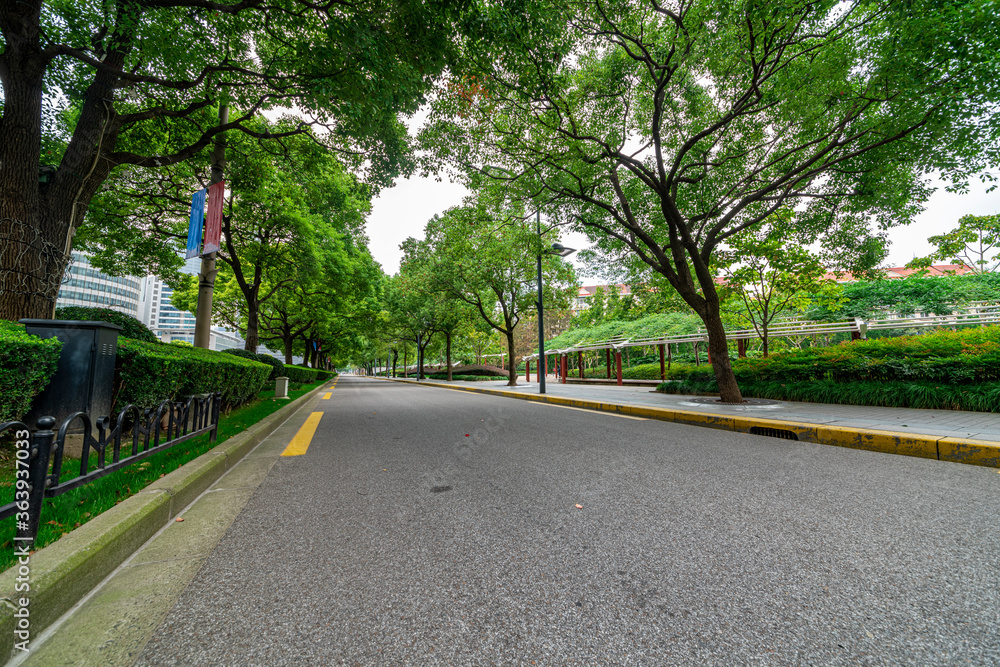 The city's tree-lined asphalt roads. The city's tree-lined asphalt roads.