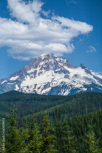 Looking east at the west slopes of Mt Hood, from the Lolo pass road