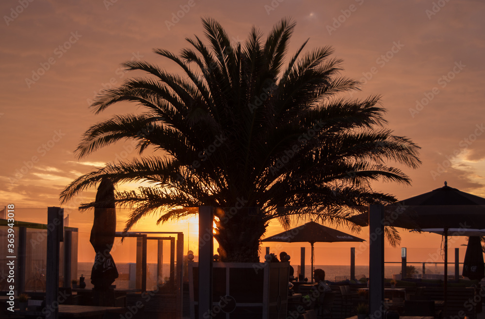 Obraz premium sunset over the sea