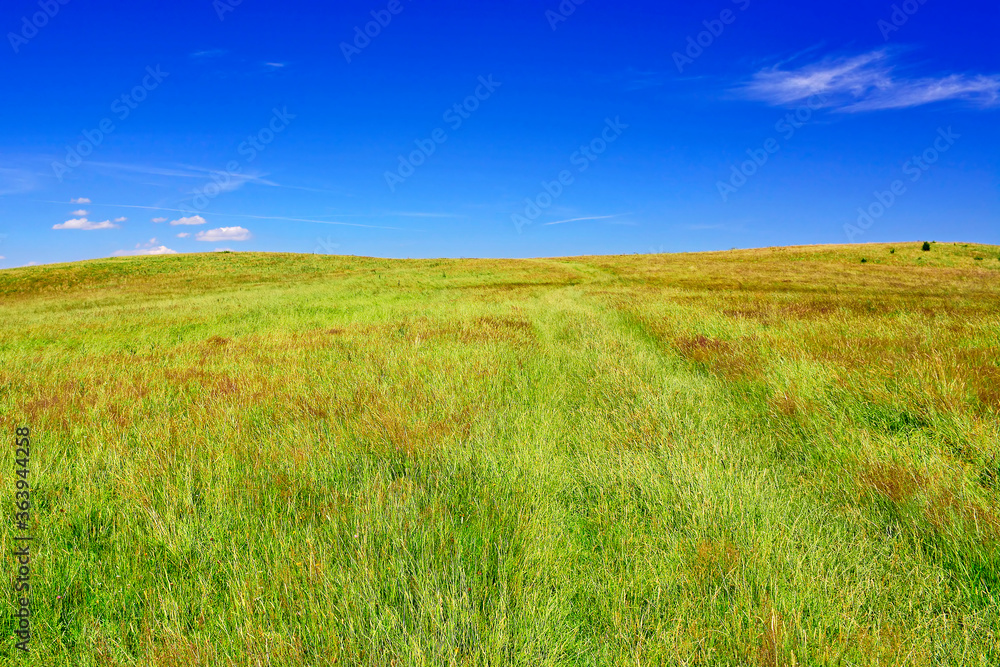 Ground road in a grassy meadow, Low Beskids (Beskid Niski), Poland