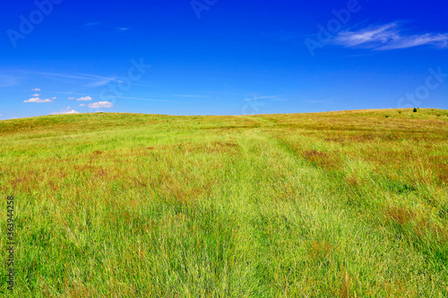 Ground road in a grassy meadow, Low Beskids (Beskid Niski), Poland