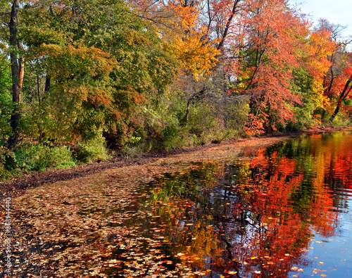 Autumn colors