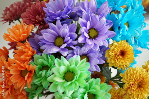 Top view of a bouquet of multi-colored chrysanthemums  orange  green  blue  lilac