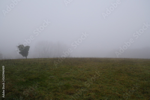 Prairie Champ Automne Brouillard Panorama