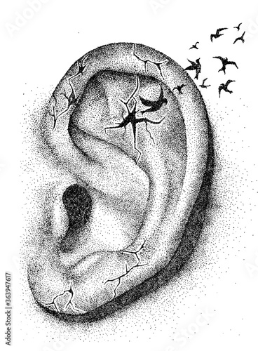 Amazing dotted black and white srtwork. Drawing of an ear made from black dots, isolated on white background photo