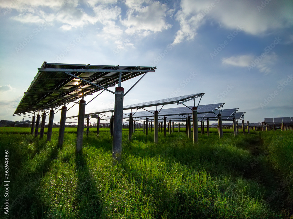 Solar power generation in rice fields under blue skies and white clouds Solar power generation in rice fields under blue skies and white clouds