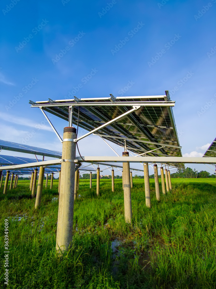 Solar power generation in rice fields under blue skies and white clouds