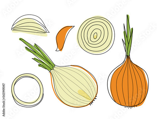 Hand drawn vector illustration – onion isolated on white. Concept of healthy food, vegetable. Cartoon doodle style. Set of elements for your design