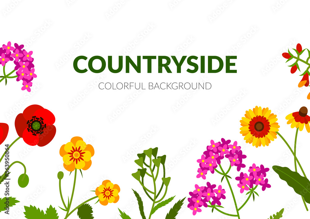 Horizontal summer banner with wildflowers, including yarrow, Echinacea, poppy, snapdragon, chamomile, buttercup. Vector illustration
