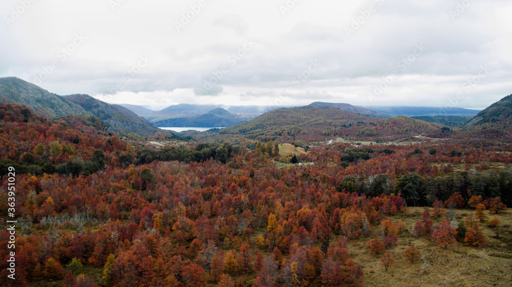 Autumn colors and textures. Aerial view of the valley, mountains and forest foliage in fall. 